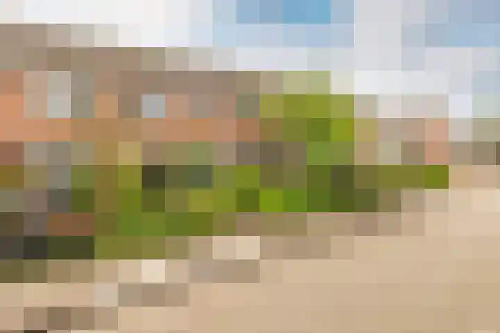 Buikslotermeerstraat 7 Edam thumbnail 46