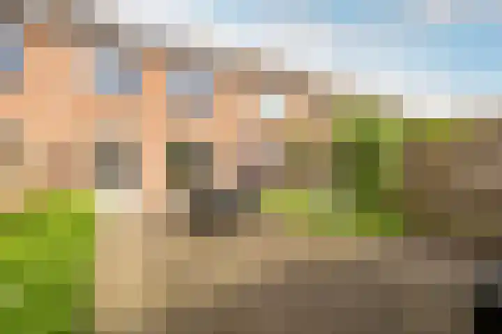 Buikslotermeerstraat 7 Edam thumbnail 6