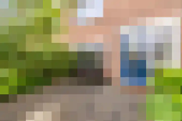 Buikslotermeerstraat 7 Edam thumbnail 8