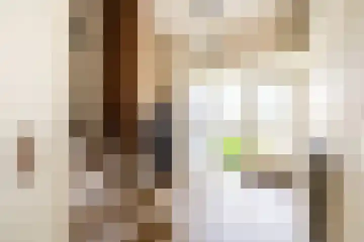 Buikslotermeerstraat 7 Edam thumbnail 9