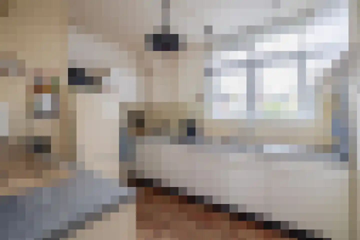 Buinerdiep 17 Zaandam thumbnail 12
