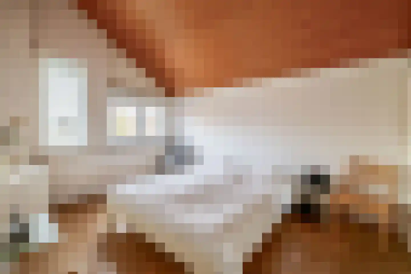 Buinerdiep 17 Zaandam thumbnail 18