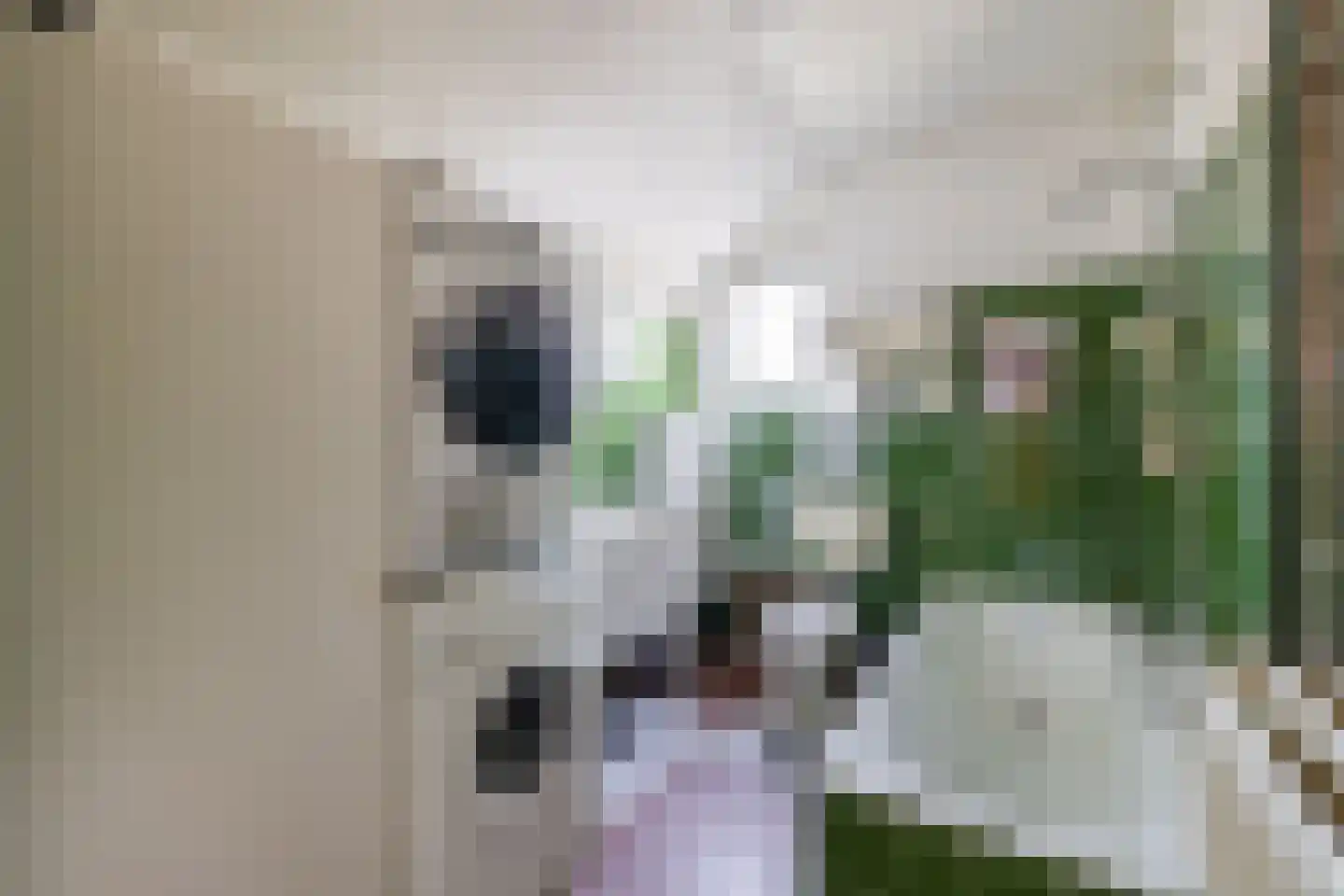 Buinerdiep 17 Zaandam thumbnail 24