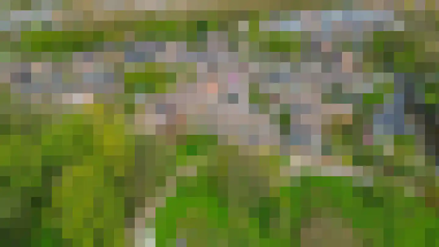 Buinerdiep 17 Zaandam thumbnail 36
