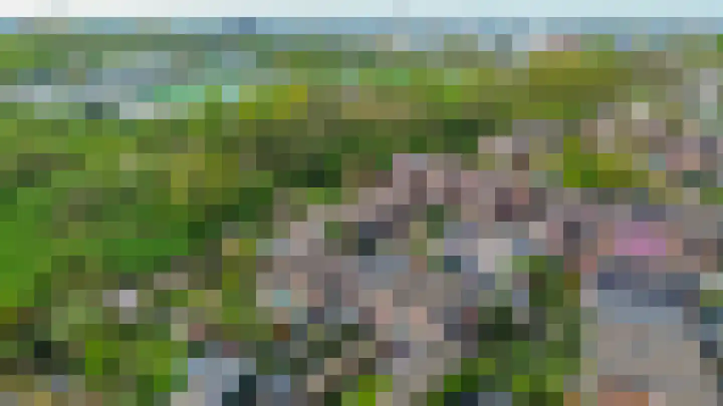 Buinerdiep 17 Zaandam thumbnail 41