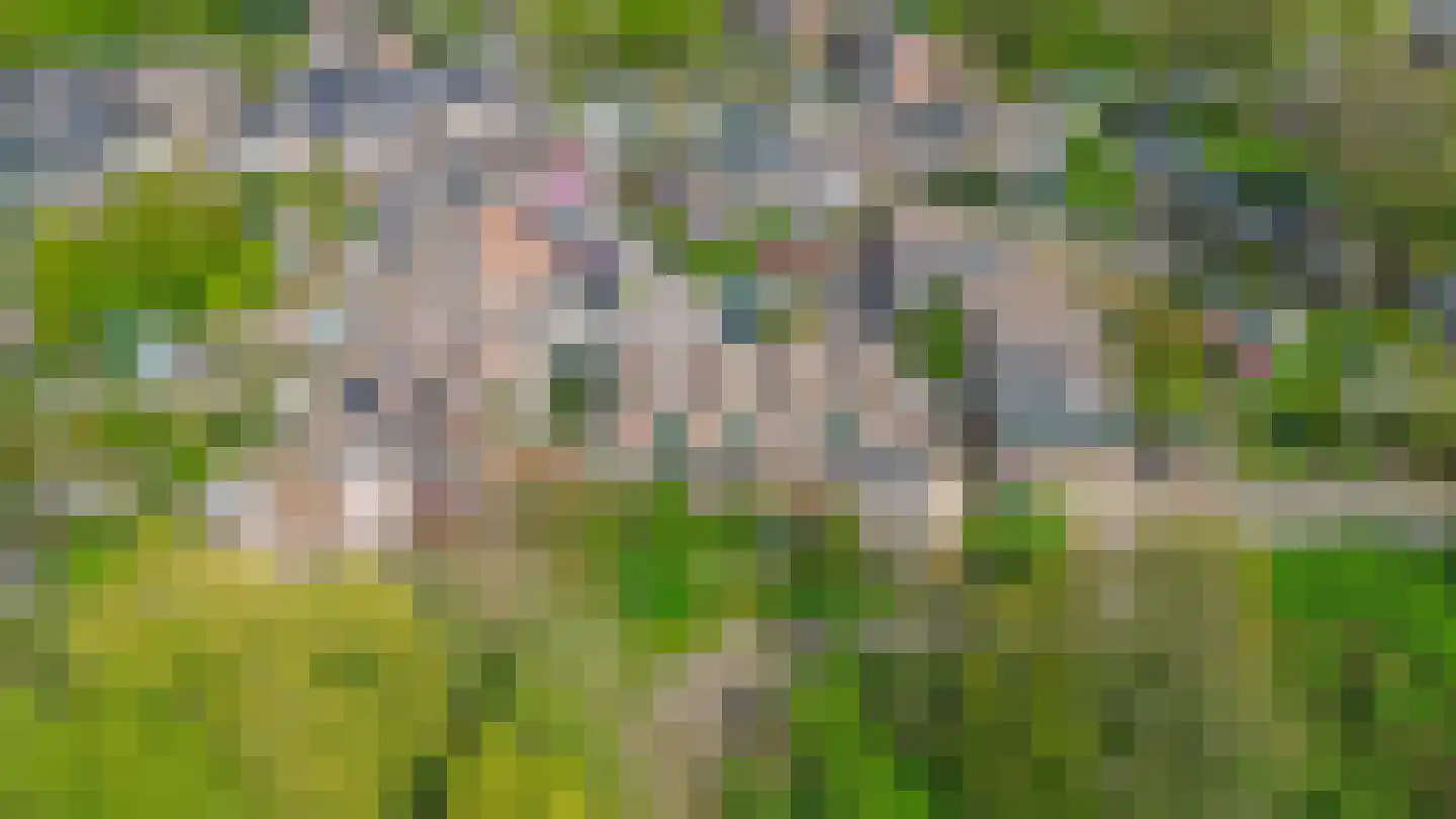 Buinerdiep 17 Zaandam thumbnail 46
