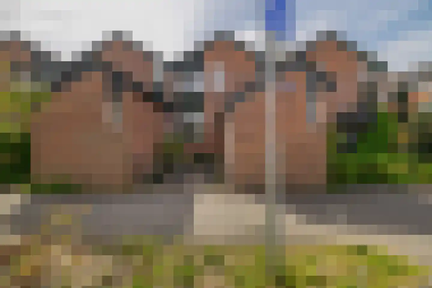 Buinerdiep 17 Zaandam thumbnail 50