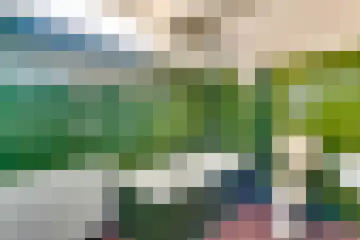 Buinerdiep 22 Zaandam thumbnail 15