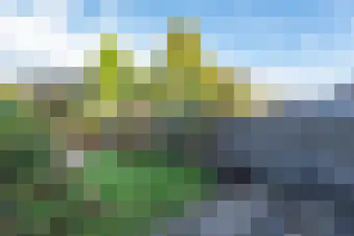 Buinerdiep 22 Zaandam thumbnail 25