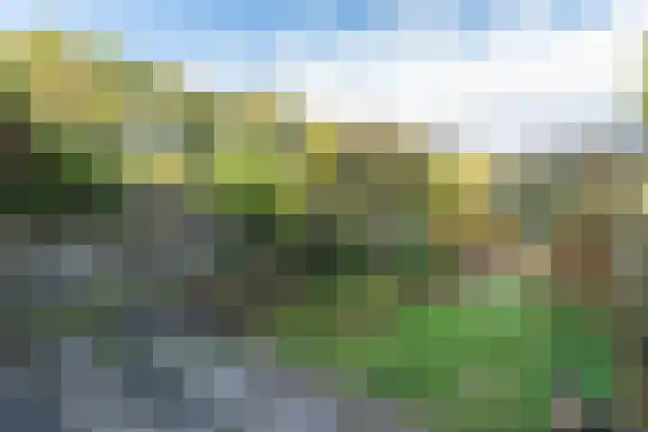 Buinerdiep 22 Zaandam thumbnail 26