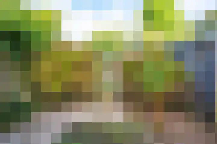 Buinerdiep 22 Zaandam thumbnail 27
