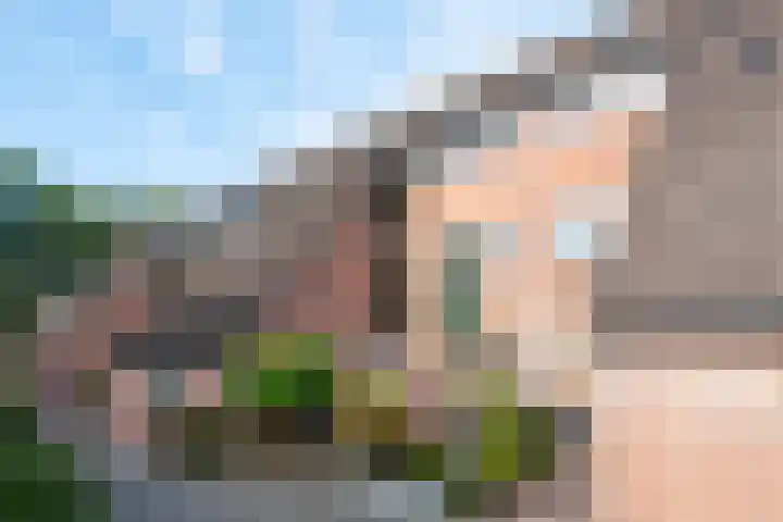 Buinerdiep 22 Zaandam thumbnail 29