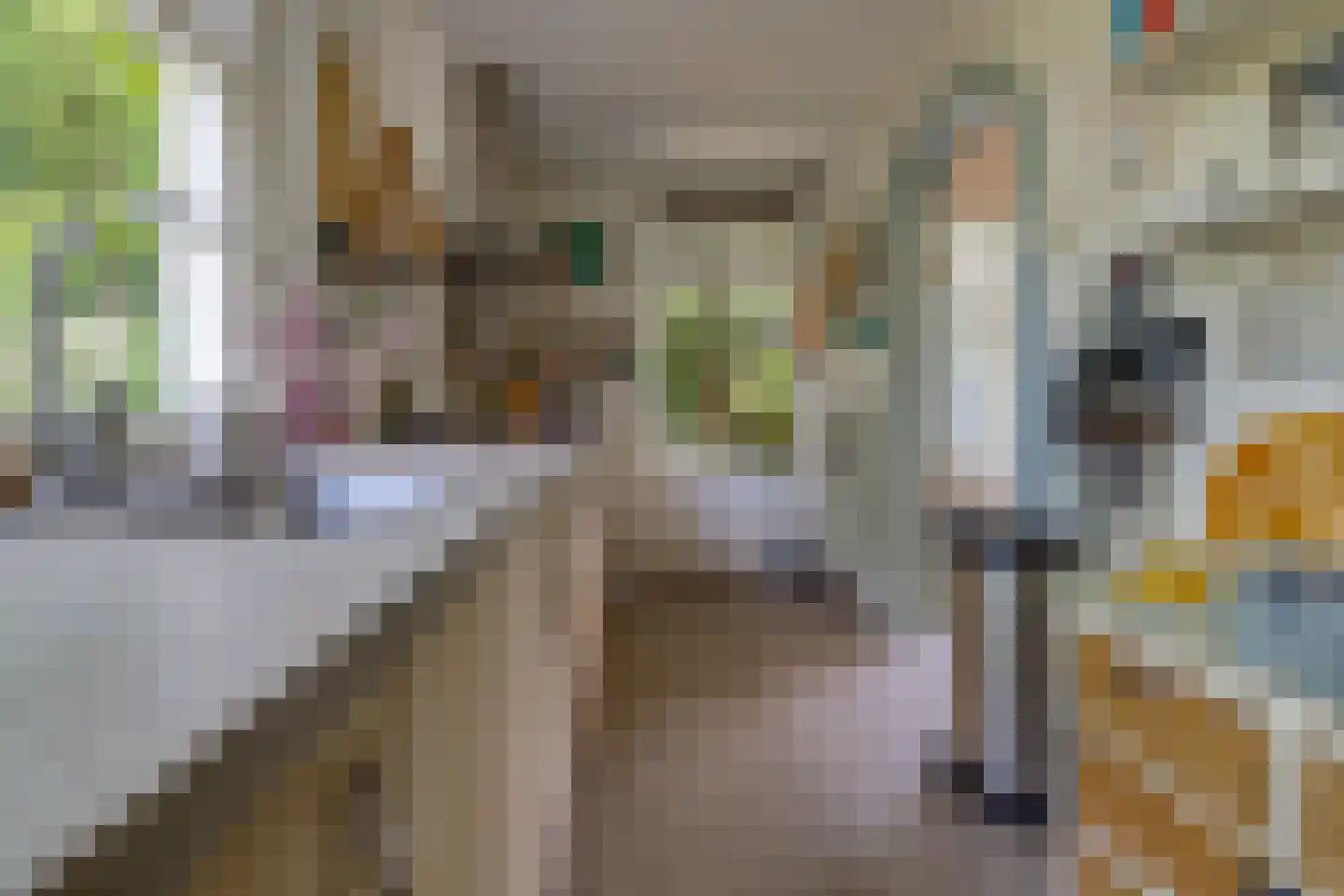 Buinerstraat 1 Bronnegerveen thumbnail 11
