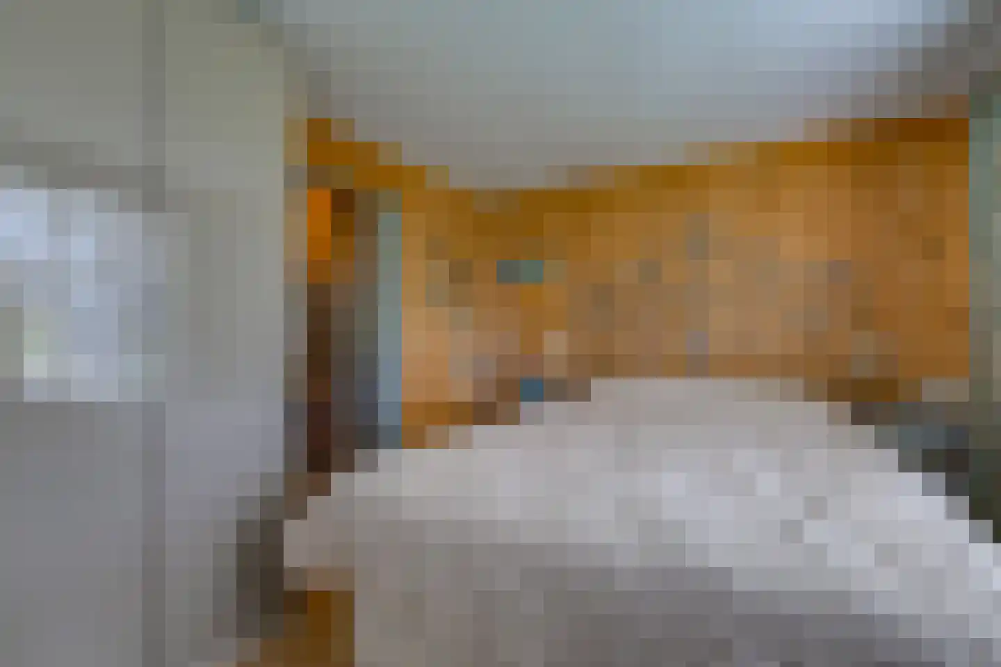 Buinerstraat 1 Bronnegerveen thumbnail 15