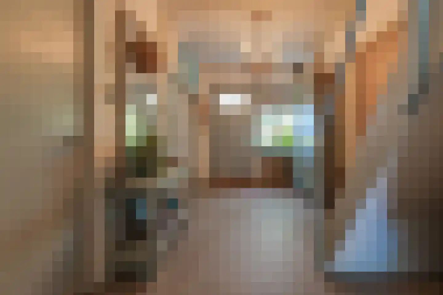 Buinerstraat 1 Bronnegerveen thumbnail 16