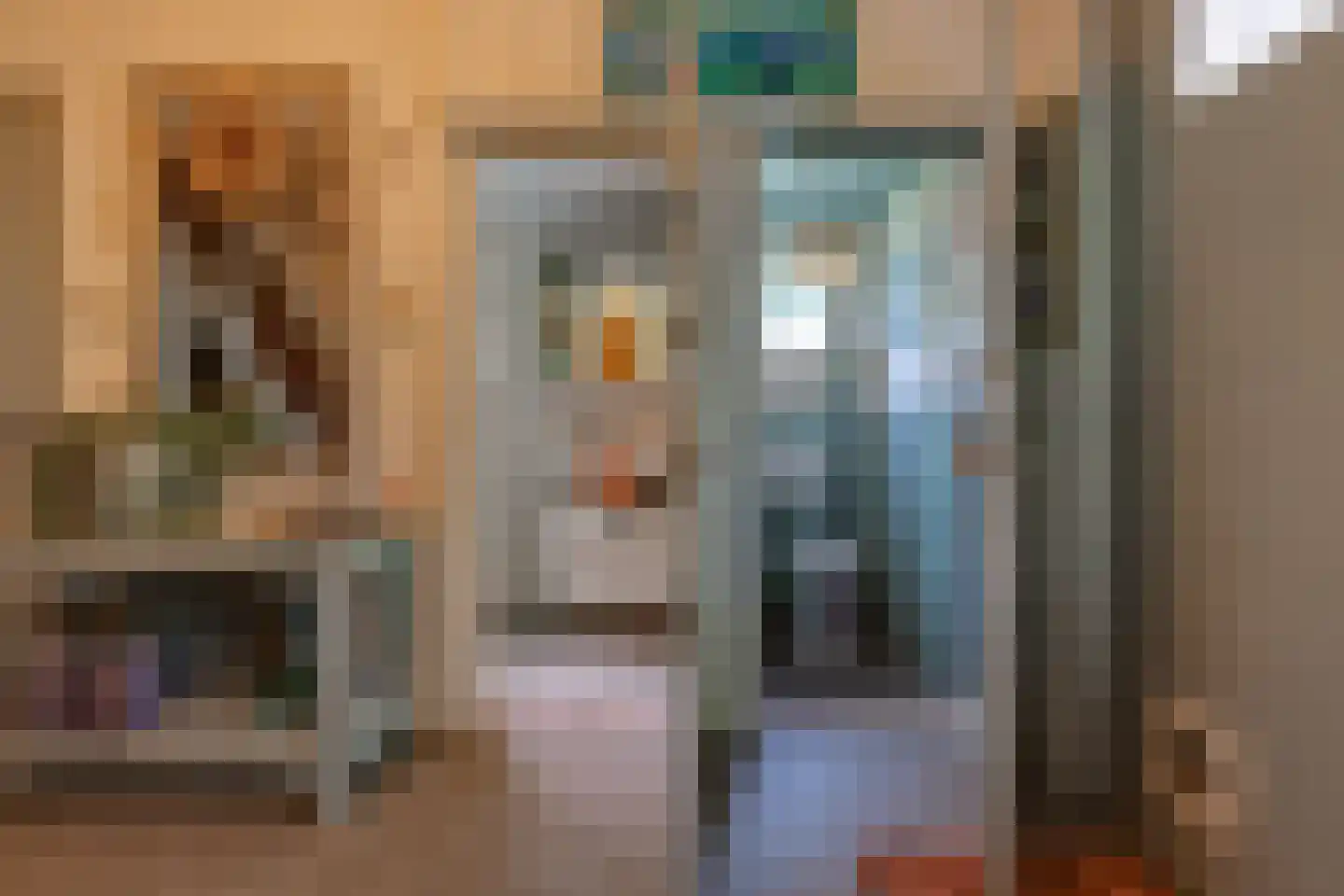 Buinerstraat 1 Bronnegerveen thumbnail 17