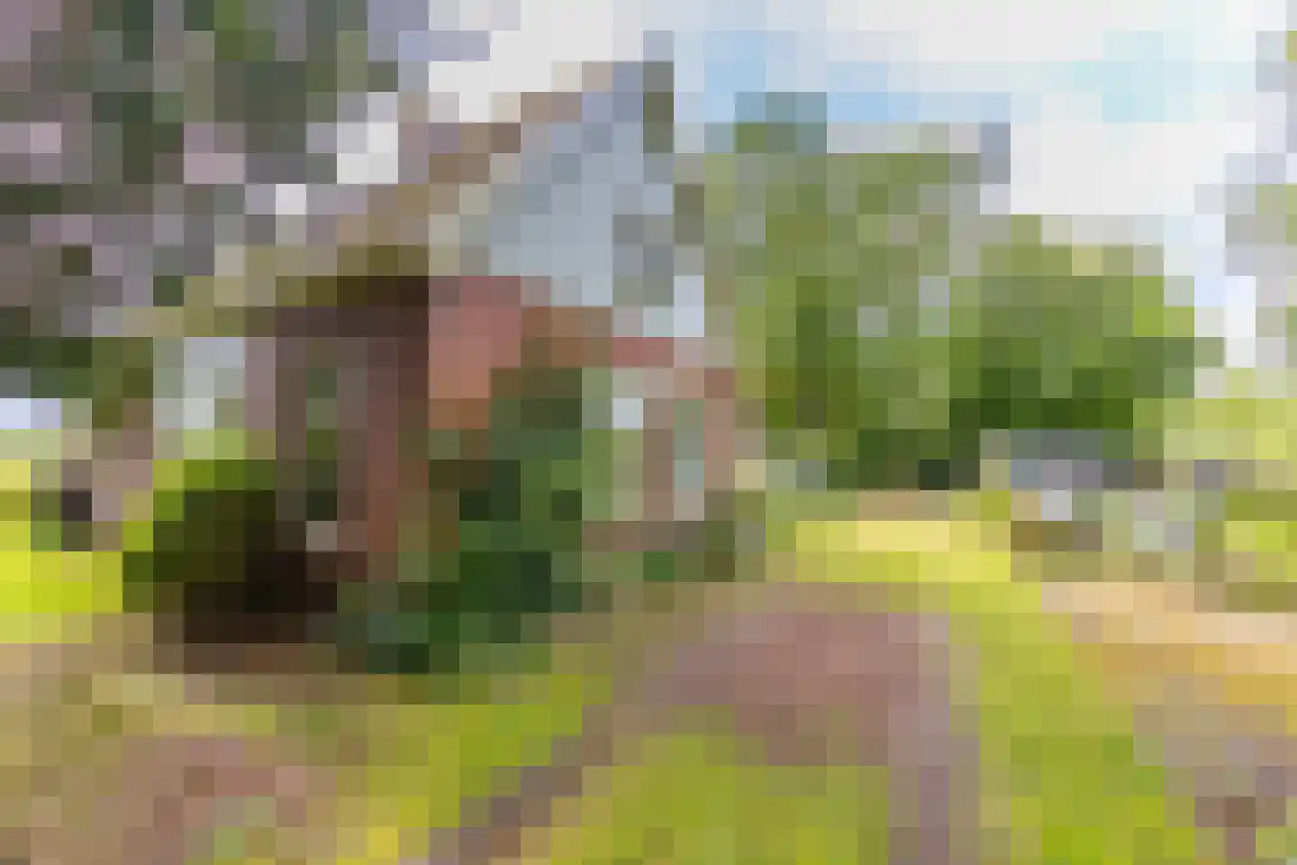 Buinerstraat 1 Bronnegerveen thumbnail 23
