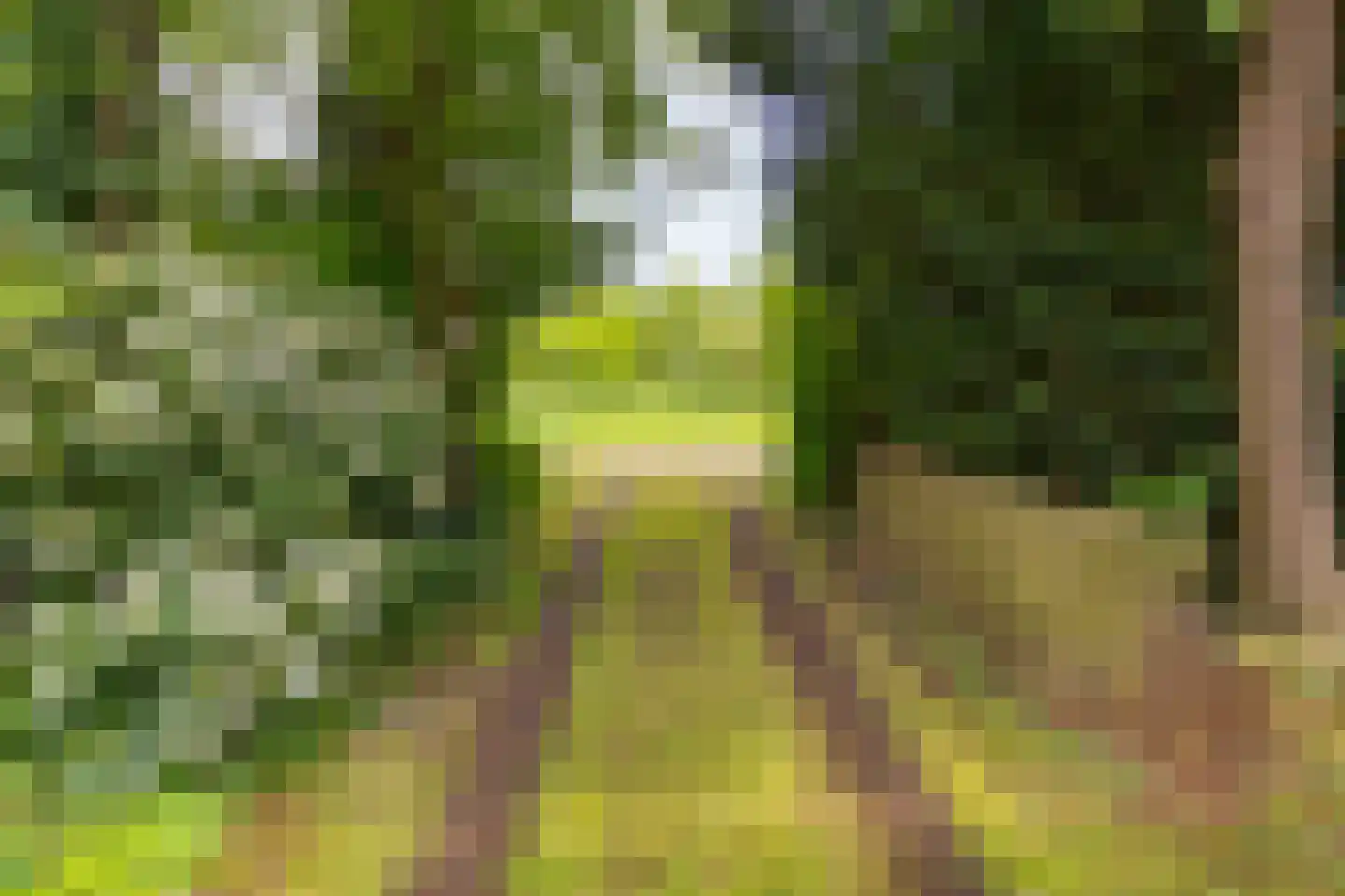 Buinerstraat 1 Bronnegerveen thumbnail 24