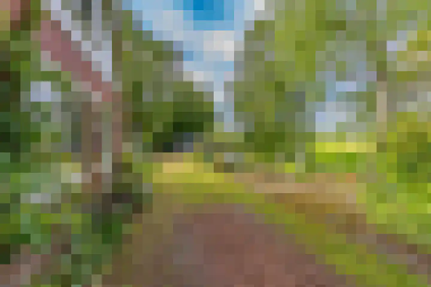Buinerstraat 1 Bronnegerveen thumbnail 25