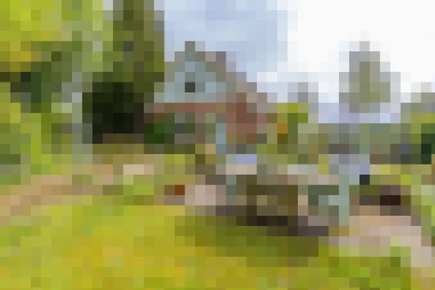 Buinerstraat 1 Bronnegerveen thumbnail 26