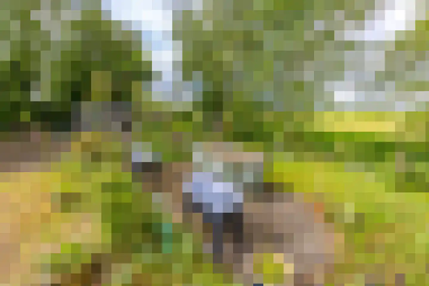 Buinerstraat 1 Bronnegerveen thumbnail 27