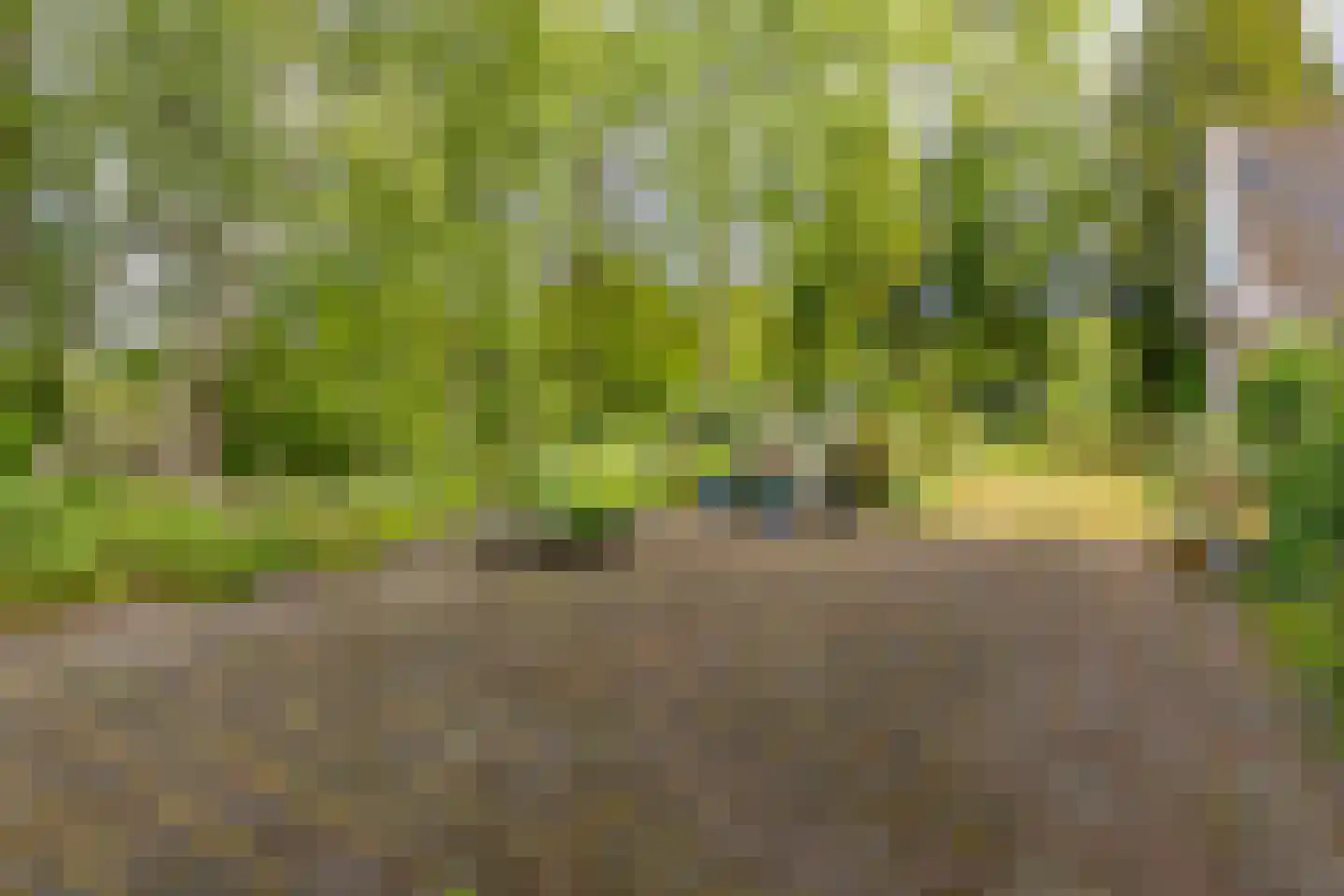 Buinerstraat 1 Bronnegerveen thumbnail 29