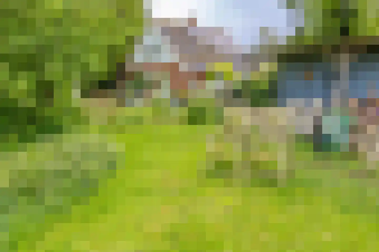 Buinerstraat 1 Bronnegerveen thumbnail 30