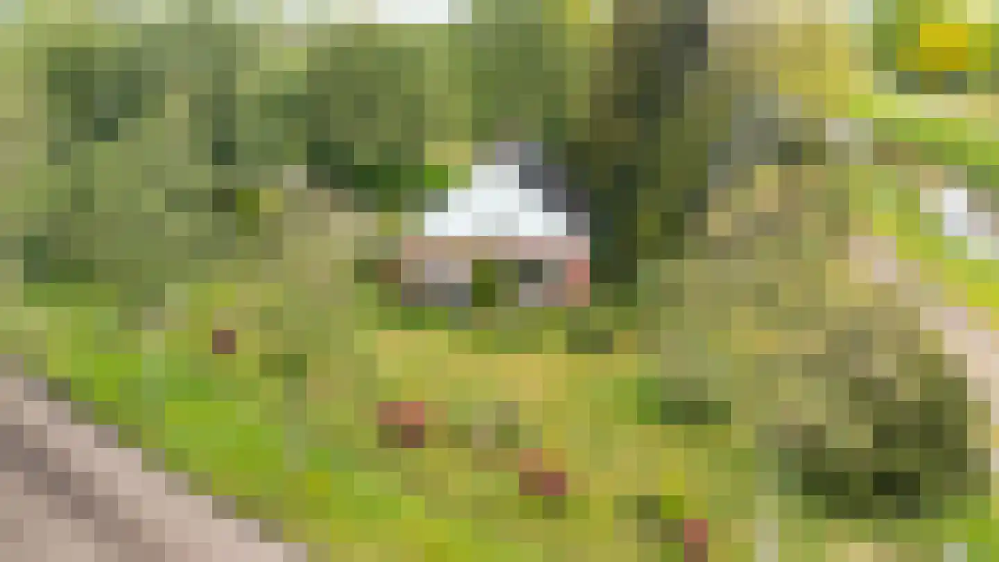 Buinerstraat 1 Bronnegerveen thumbnail 31