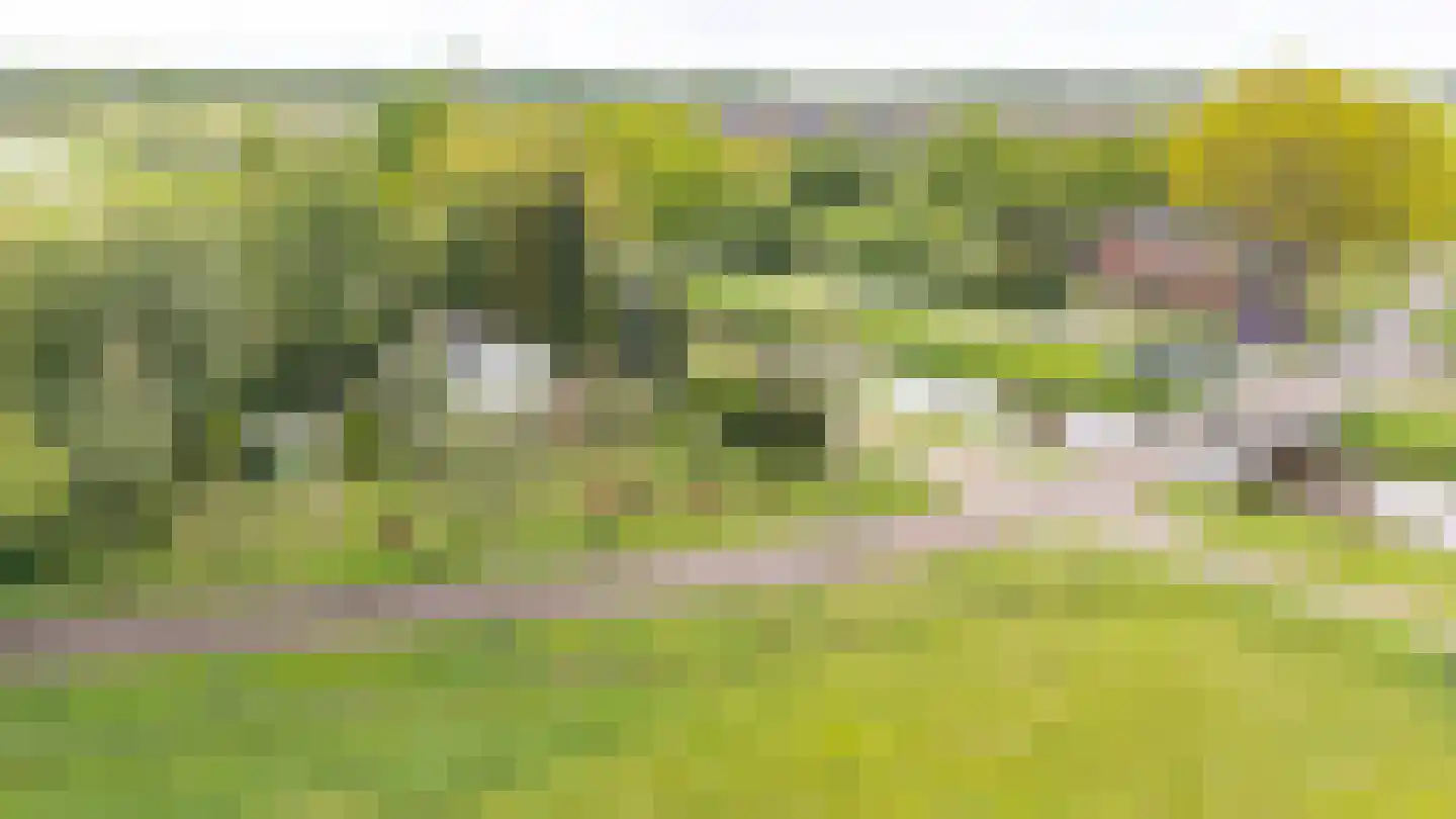 Buinerstraat 1 Bronnegerveen thumbnail 32