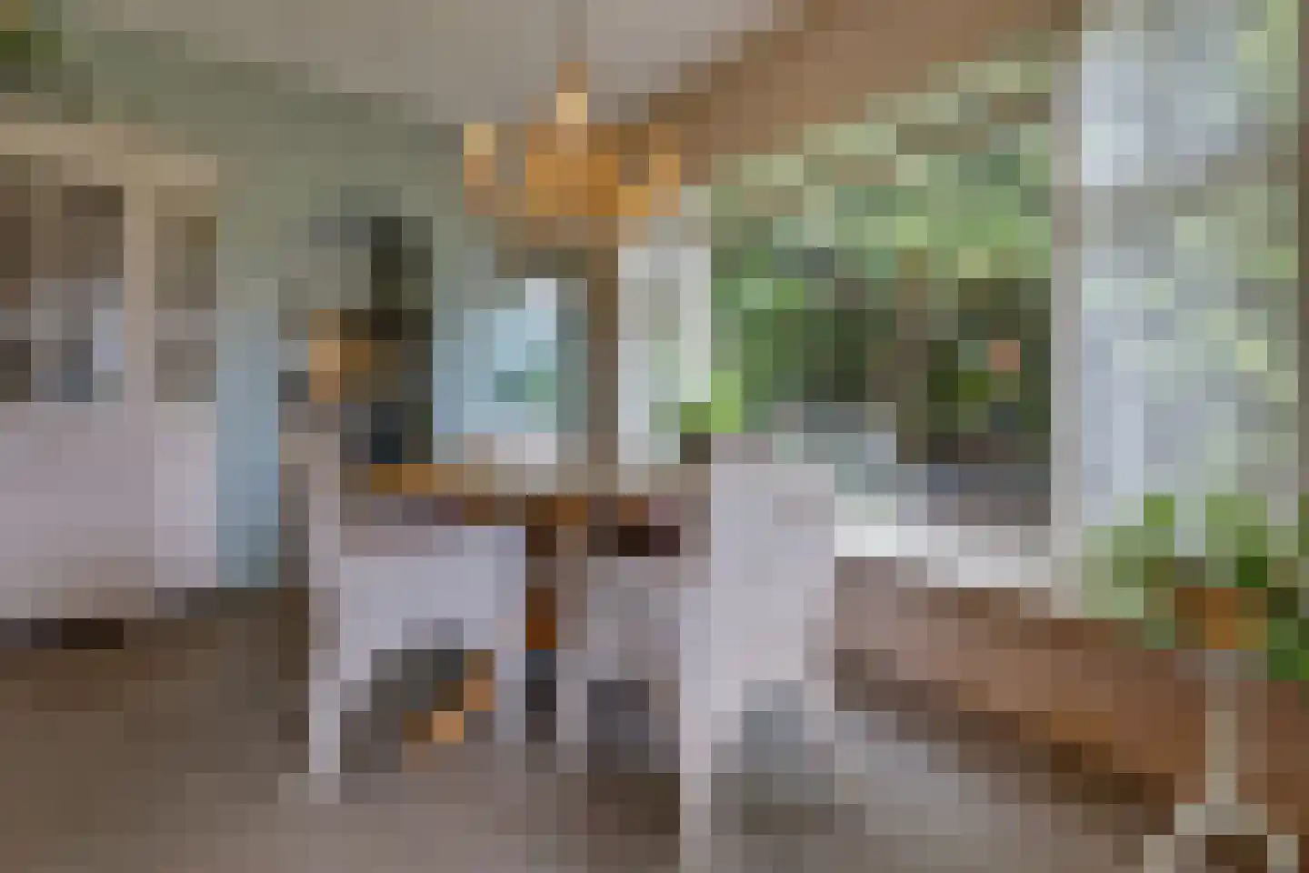 Buinerstraat 1 Bronnegerveen thumbnail 7