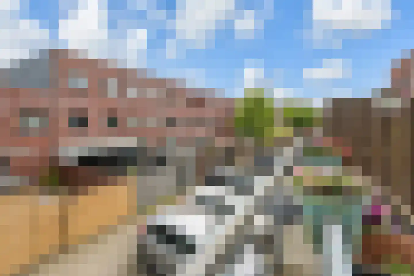 Buinerveenstraat 27 Den Haag thumbnail 12
