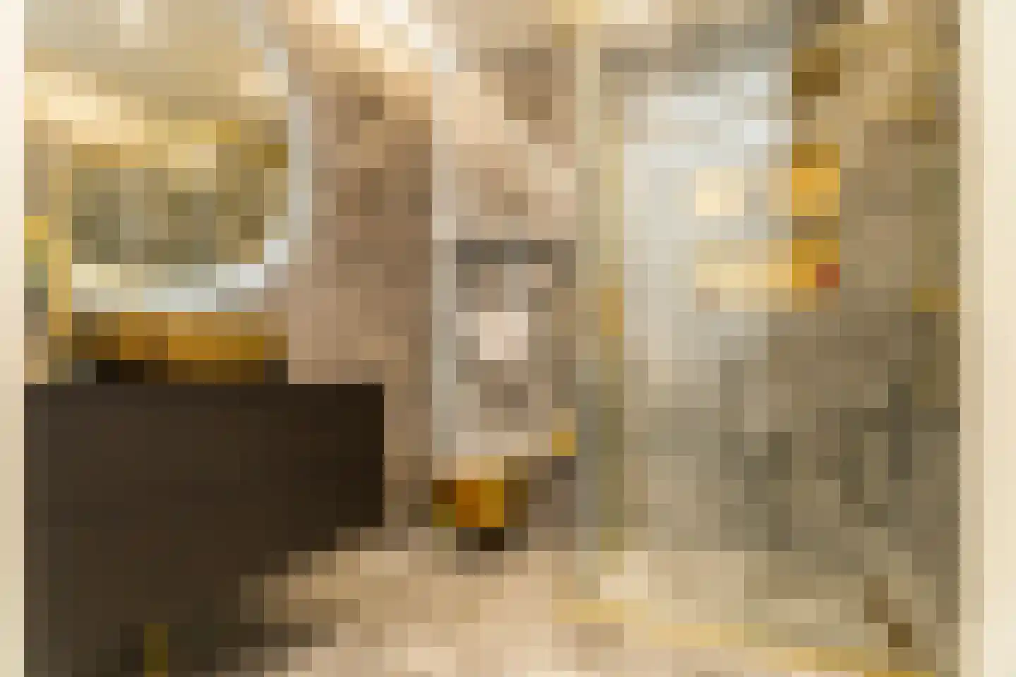 Buinerveenstraat 45 Den Haag thumbnail 4
