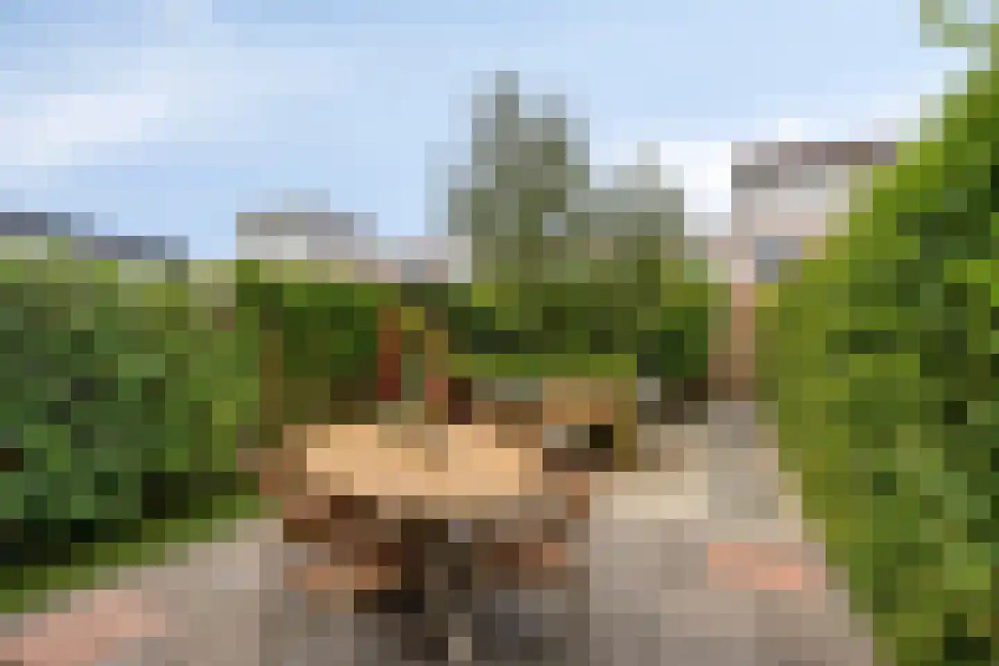 Buinerveld 54 Nieuw-Vennep thumbnail 16