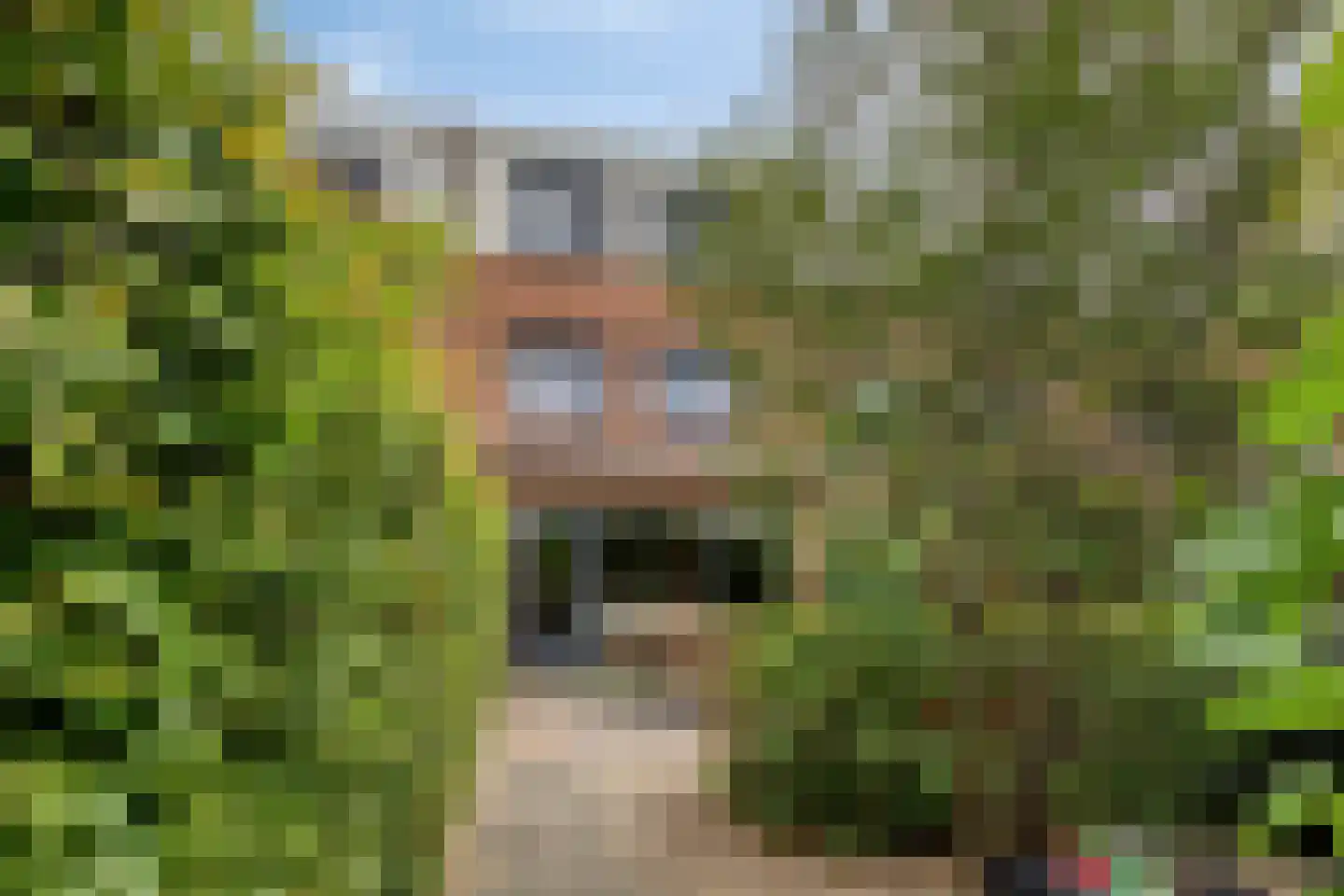 Buinerveld 54 Nieuw-Vennep thumbnail 19