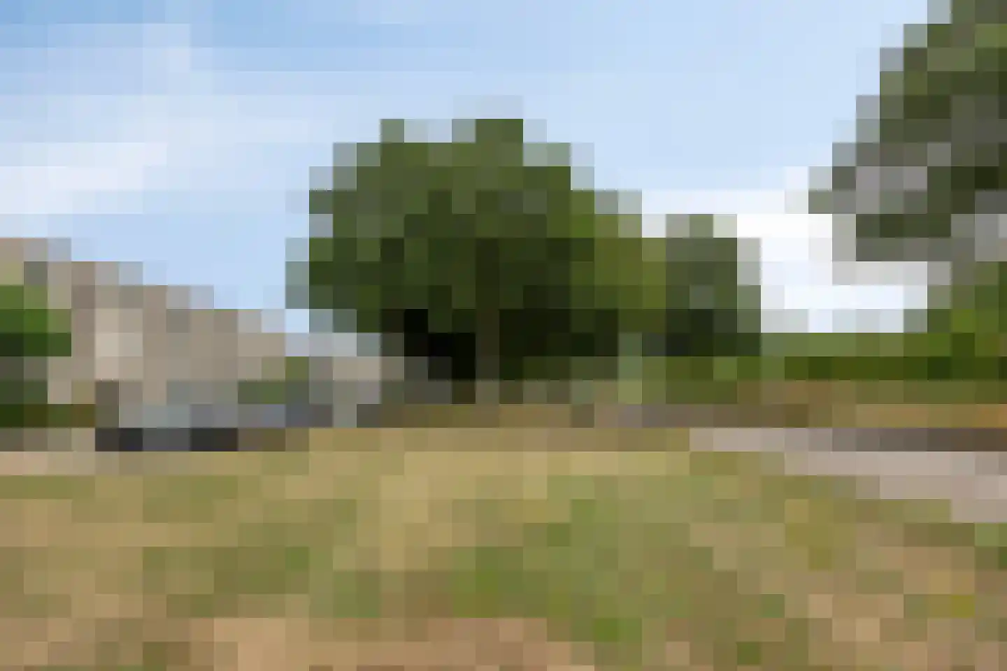 Buinerveld 54 Nieuw-Vennep thumbnail 43