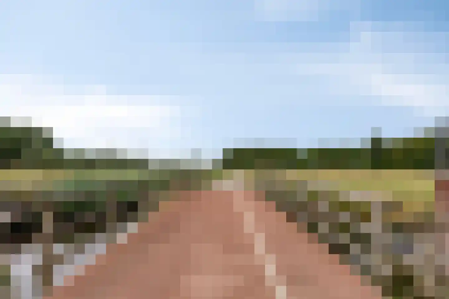 Buinerveld 54 Nieuw-Vennep thumbnail 47