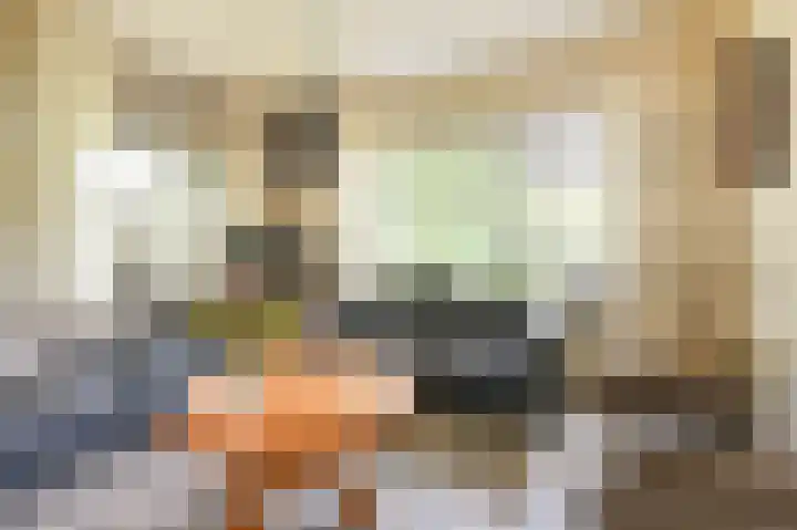 Buinerweg 11 Exloo thumbnail 14