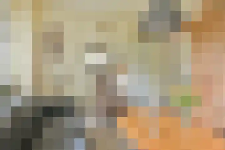 Buinerweg 11 Exloo thumbnail 17