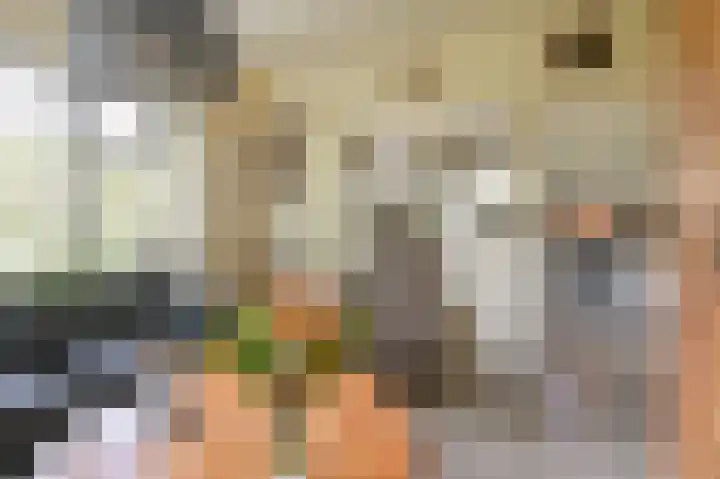 Buinerweg 11 Exloo thumbnail 18