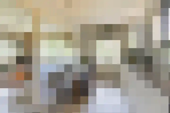 Buinerweg 11 Exloo thumbnail 20