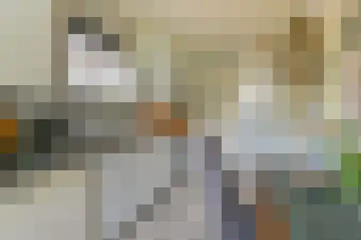 Buinerweg 11 Exloo thumbnail 21