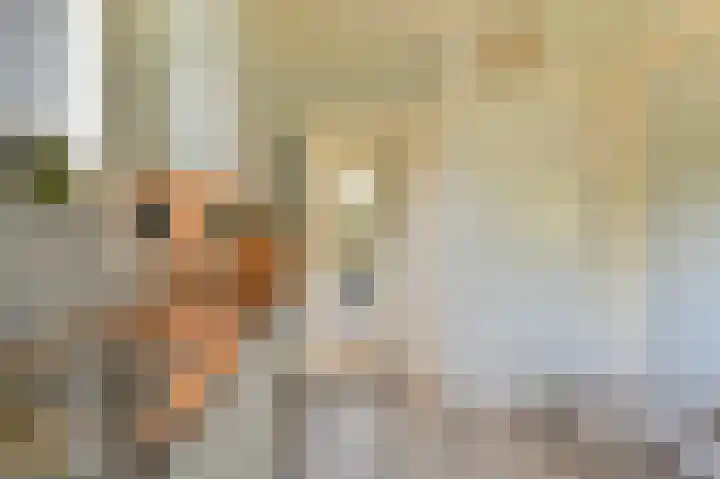 Buinerweg 11 Exloo thumbnail 22
