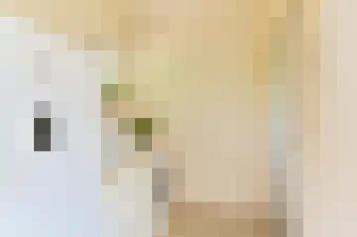 Buinerweg 11 Exloo thumbnail 24