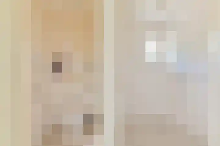 Buinerweg 11 Exloo thumbnail 27
