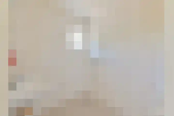 Buinerweg 11 Exloo thumbnail 29