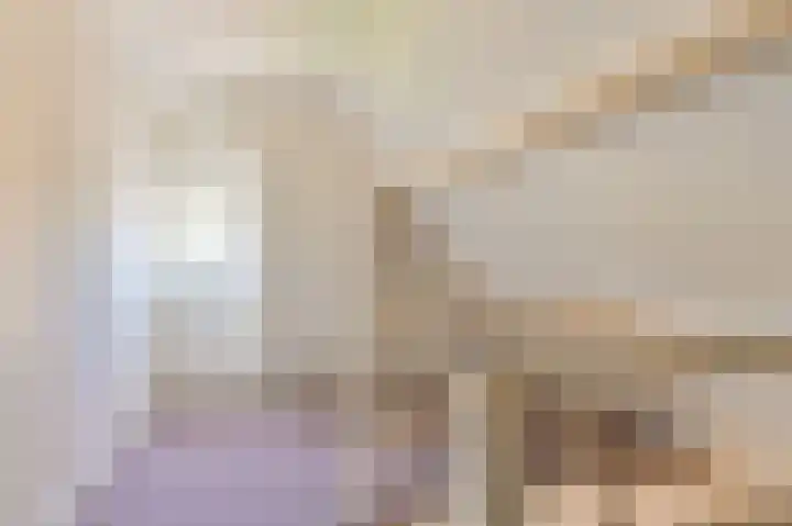 Buinerweg 11 Exloo thumbnail 33
