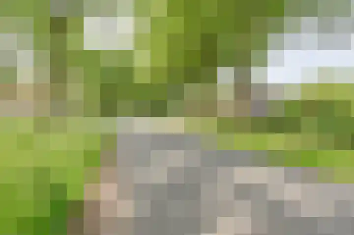 Buinerweg 11 Exloo thumbnail 4