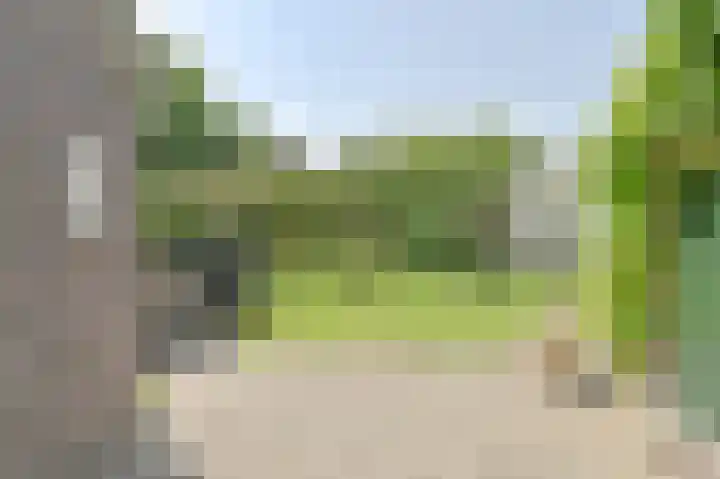 Buinerweg 11 Exloo thumbnail 45
