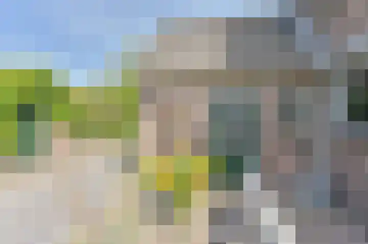 Buinerweg 11 Exloo thumbnail 46