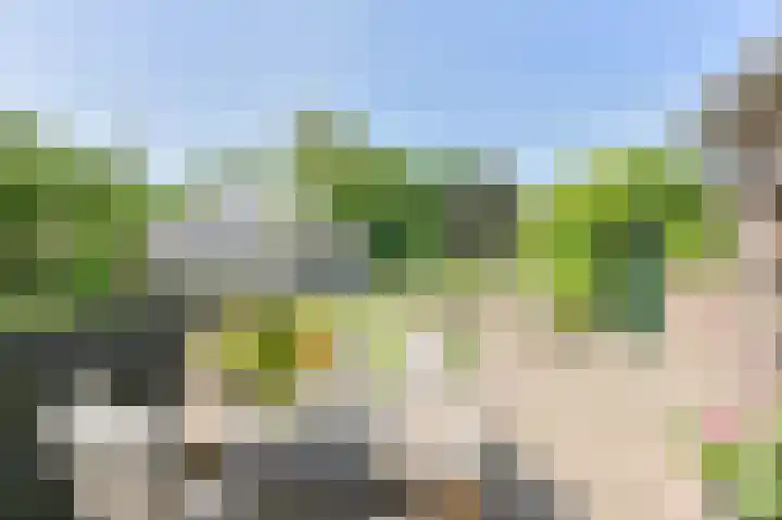 Buinerweg 11 Exloo thumbnail 47